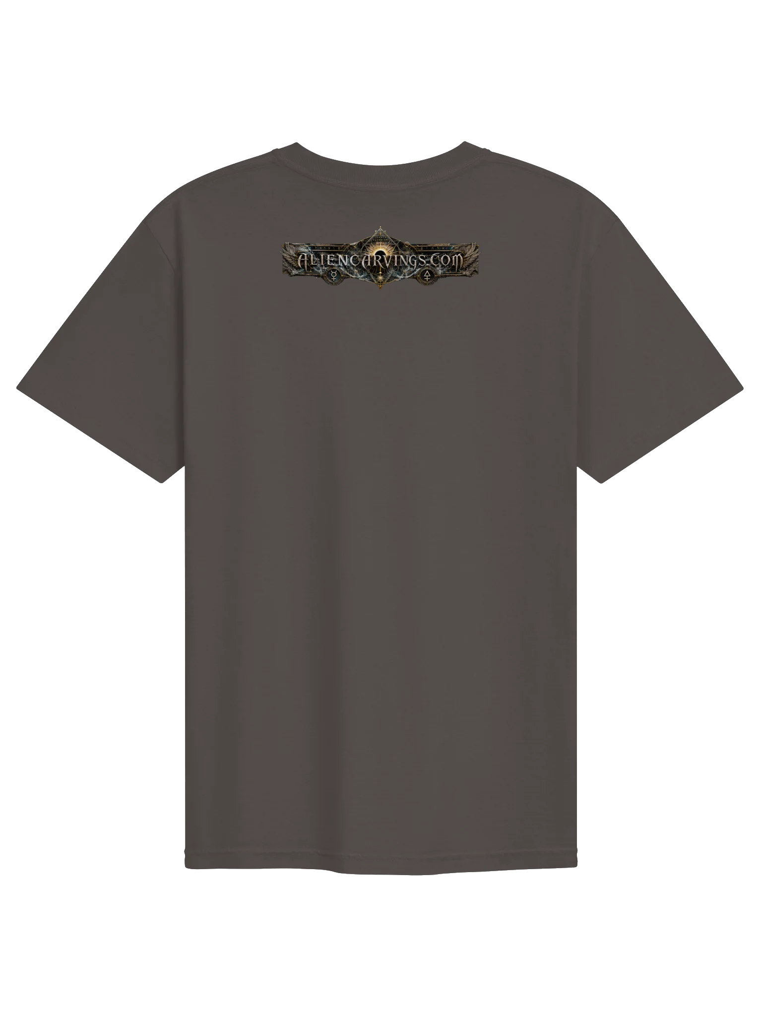 Fossilized Existance product image (2)
