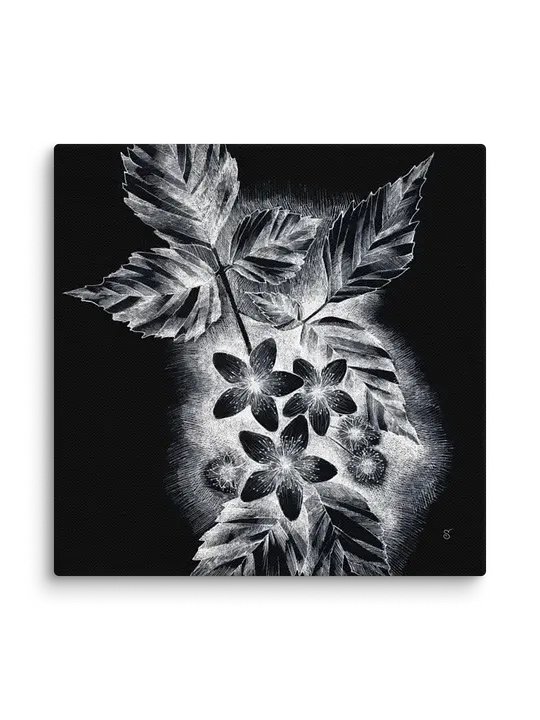 Blank Canvas Collection - JDark asmine product image (56)