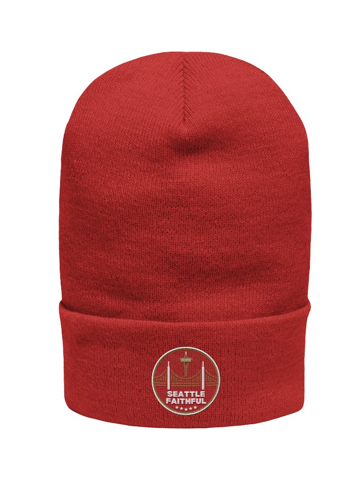 Logo Beanie product image (1)