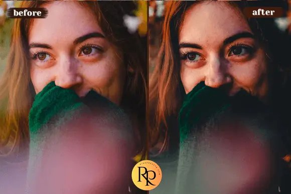 8 Lightroom Presets for Mobile product image (5)