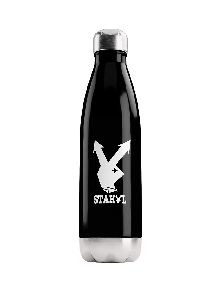 H20 Stahyl Bottle product image (1)