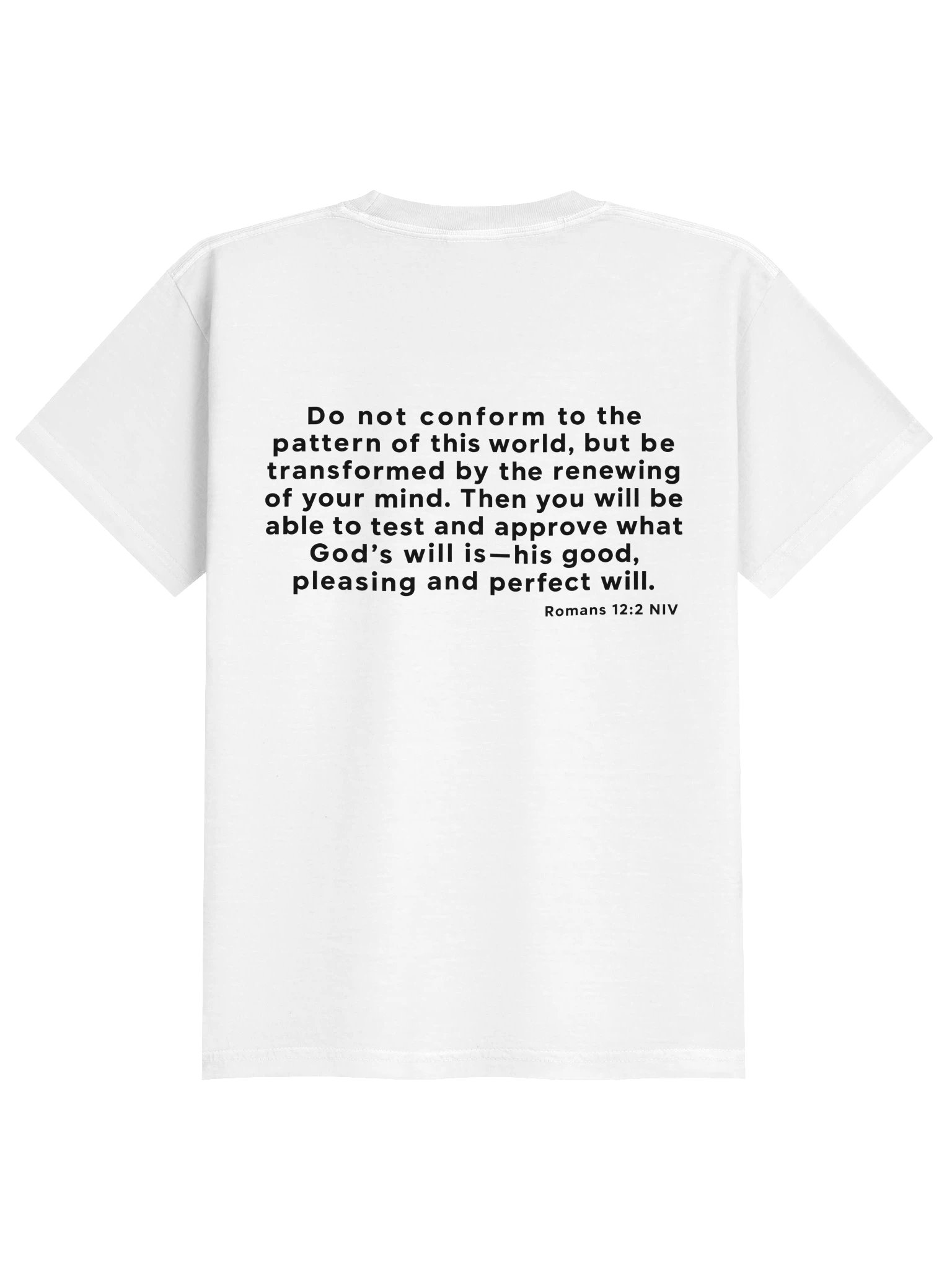 Biblical Truths: White Rebel Youth product image (2)