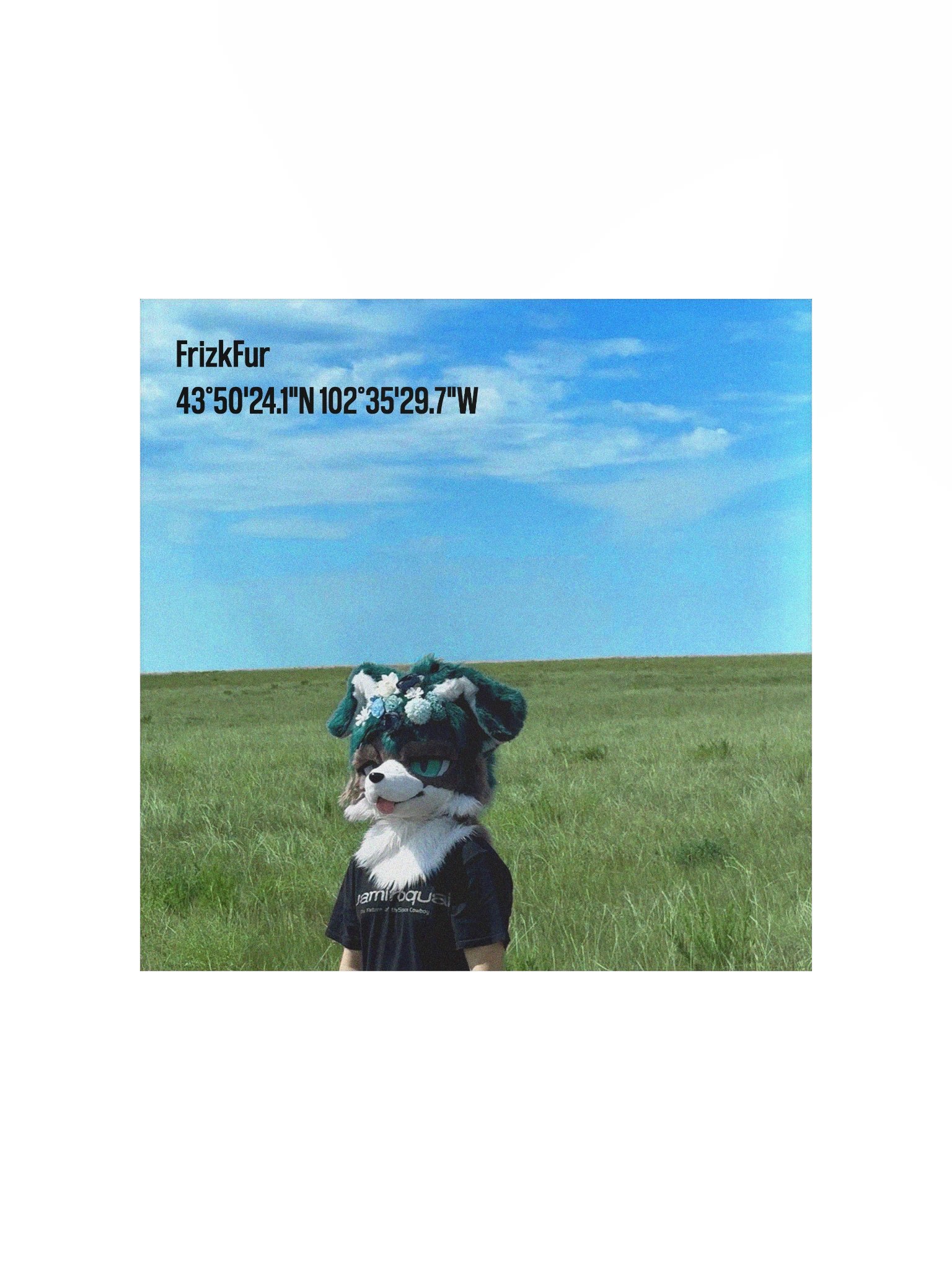 Scenic Frizk product image (1)