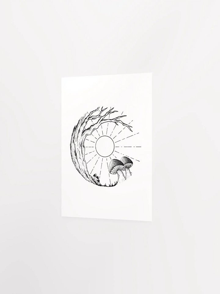 Sunny Mushrooms product image (2)
