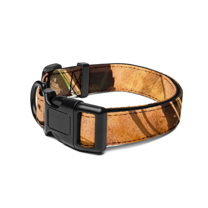 Forest Harmony Pet Collar product image (2)