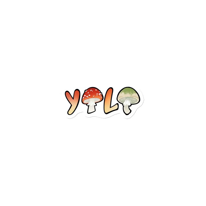 Yolo Magnet product image (1)