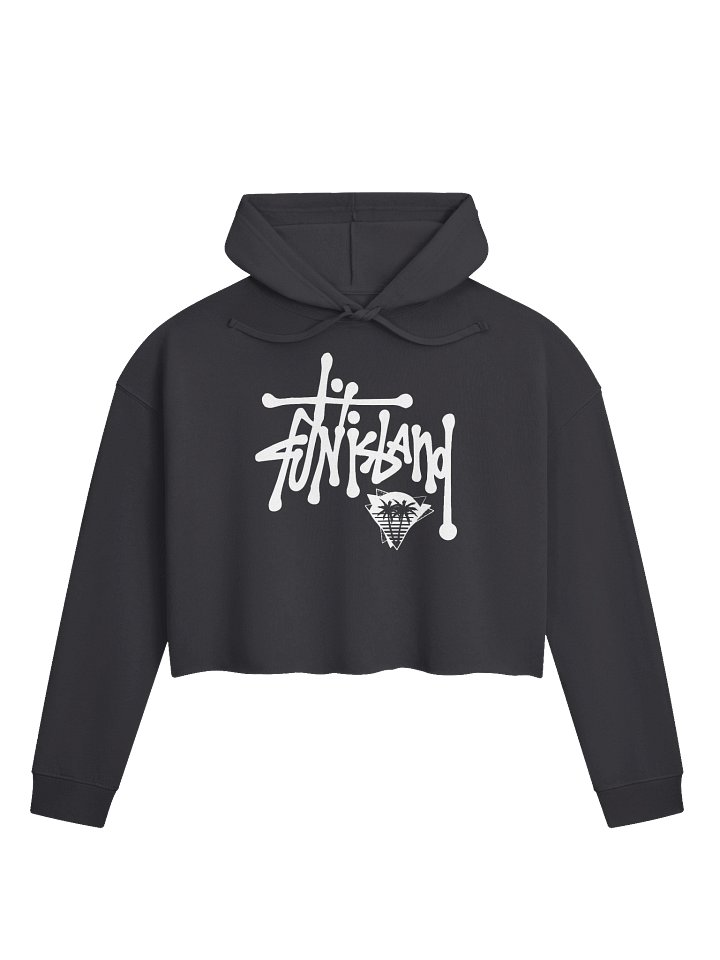 STUSSY CROP TOP HOODIE product image (1)