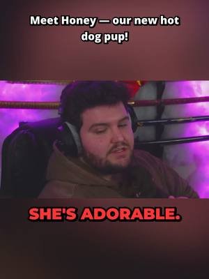 New puppy reveal: Honey meets the streamer—adorable cuddles, chat goes wild, and 