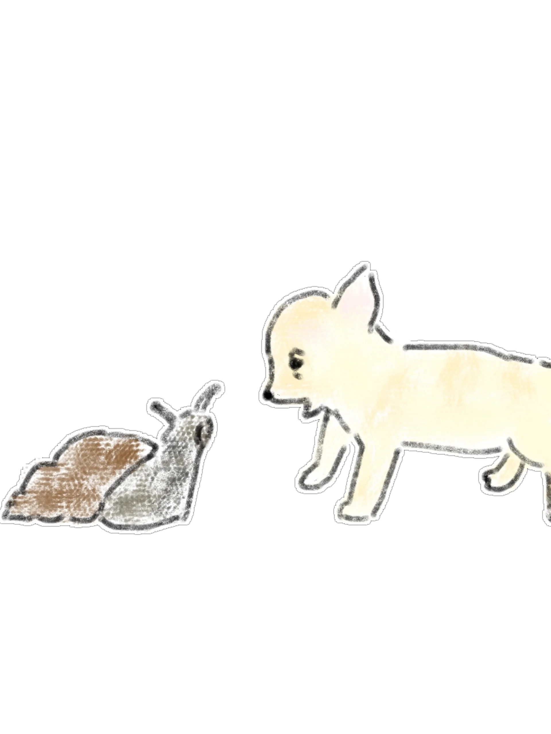 15 Hand-Drawn Animal Friends PNG Clipart Bundle product image (4)