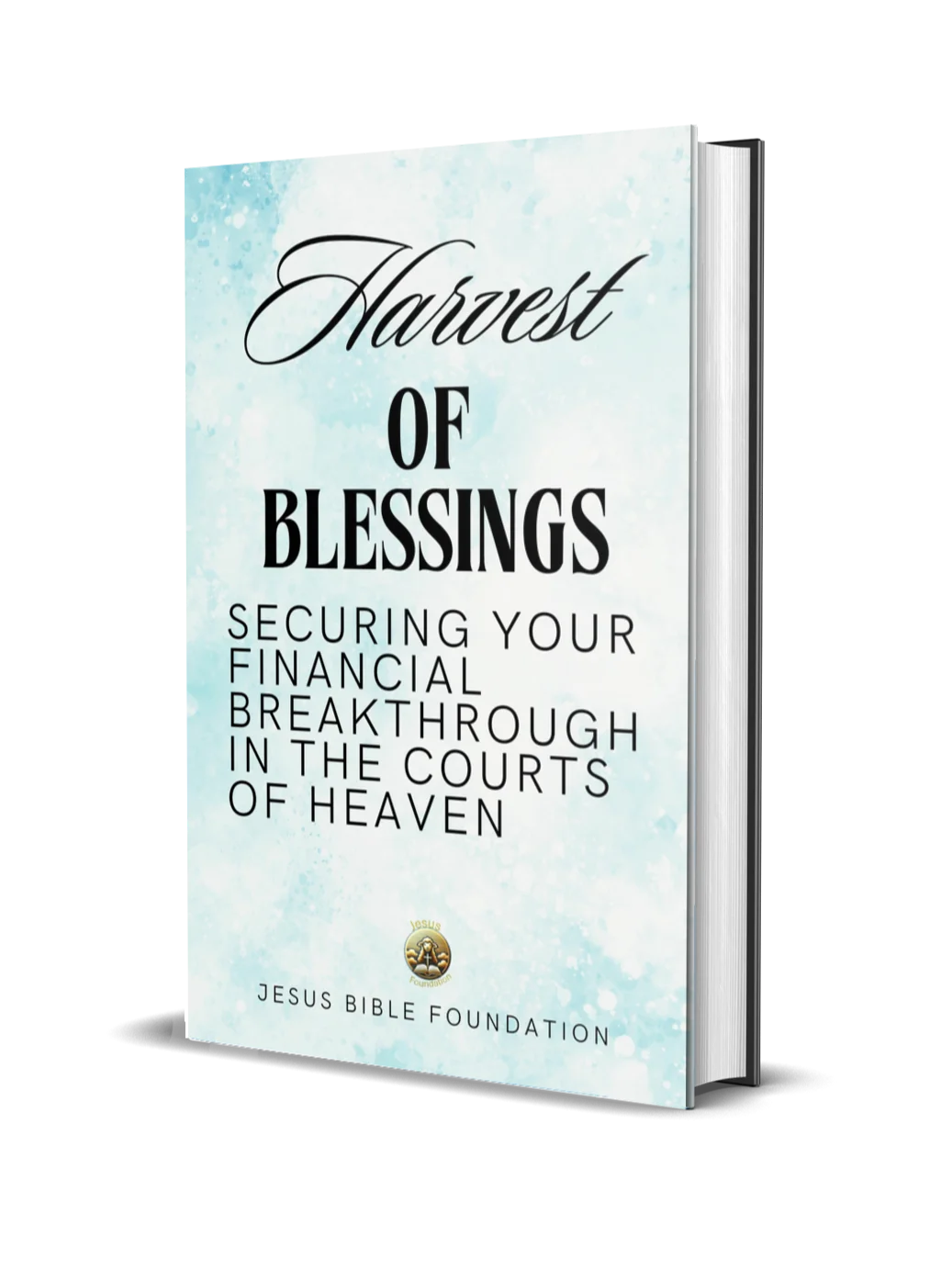 Harvest of Blessings: Securing Your Financial Breakthrough in the Courts of Heaven product image (1)
