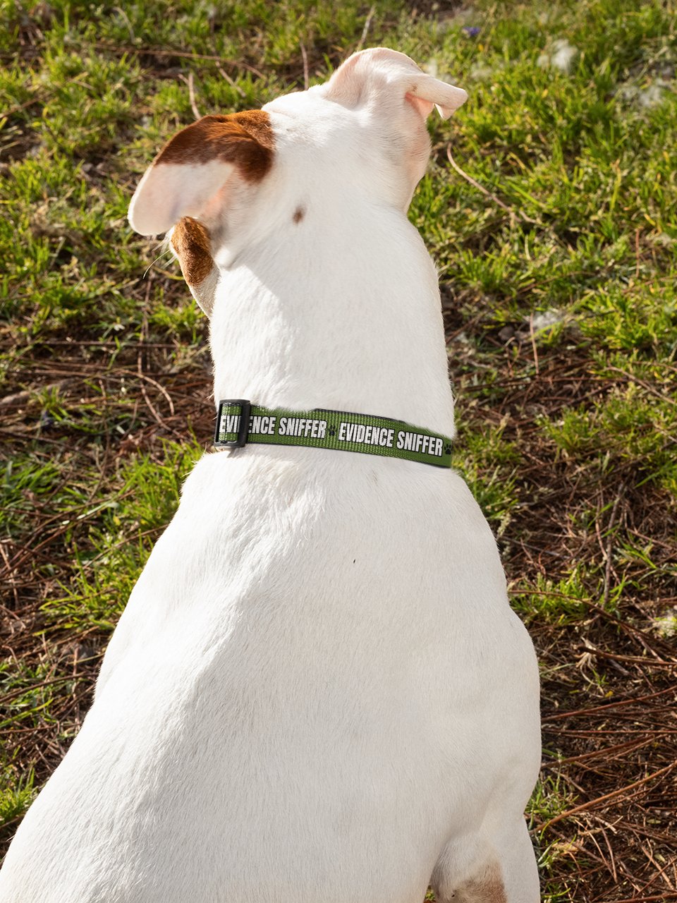Evidence Sniffer Dog Collar product image (6)