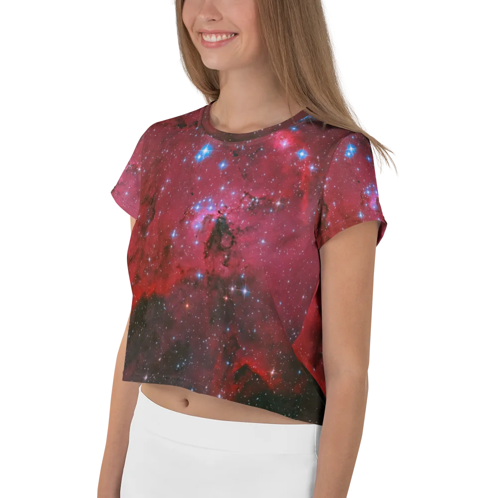 LH 95 Crop Top product image (3)