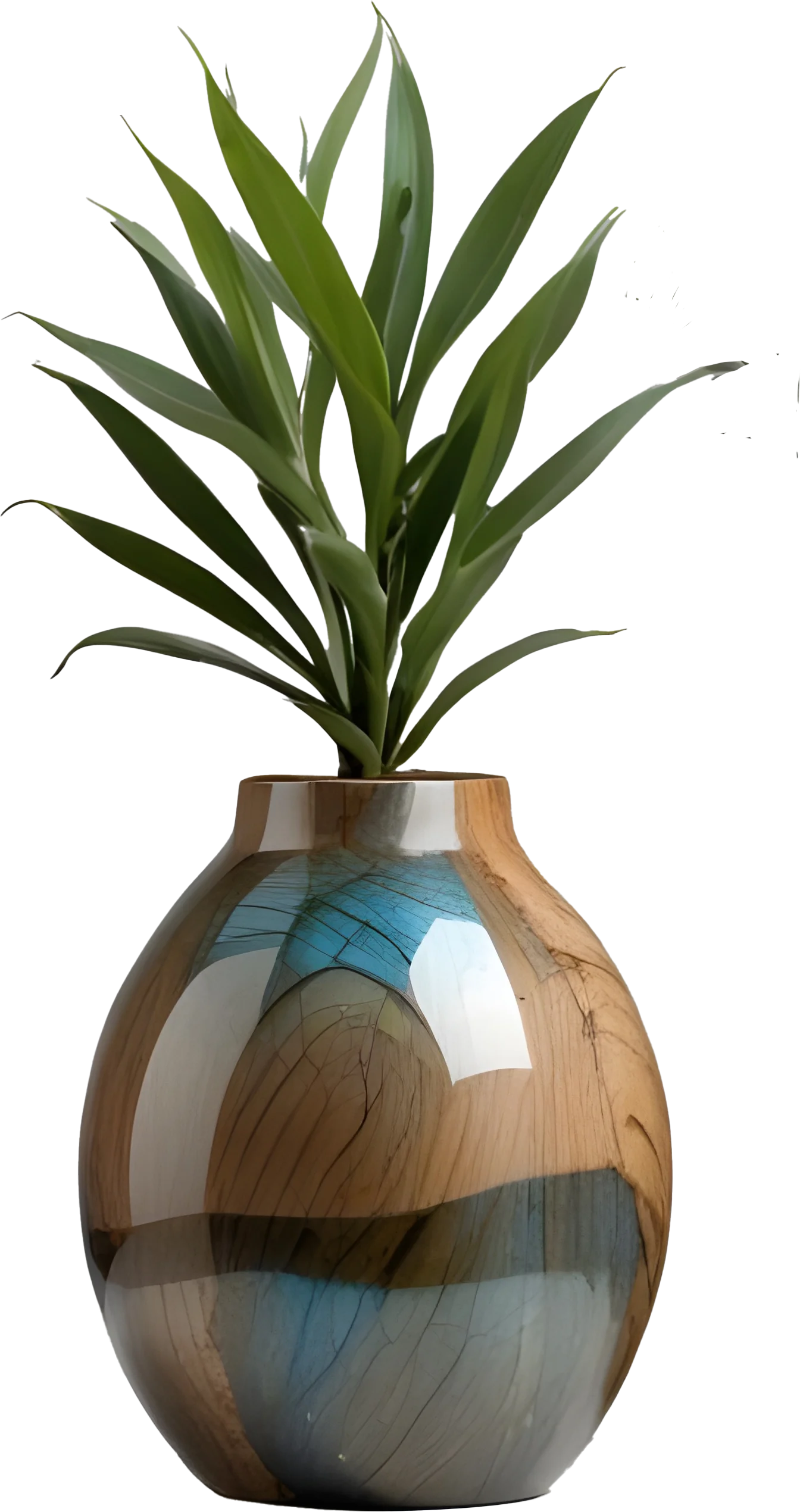 Celestial Grace – Boho Vase and plant PNG product image (1)