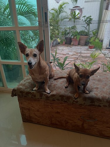 We’re all ears…

Have a wonderful day.