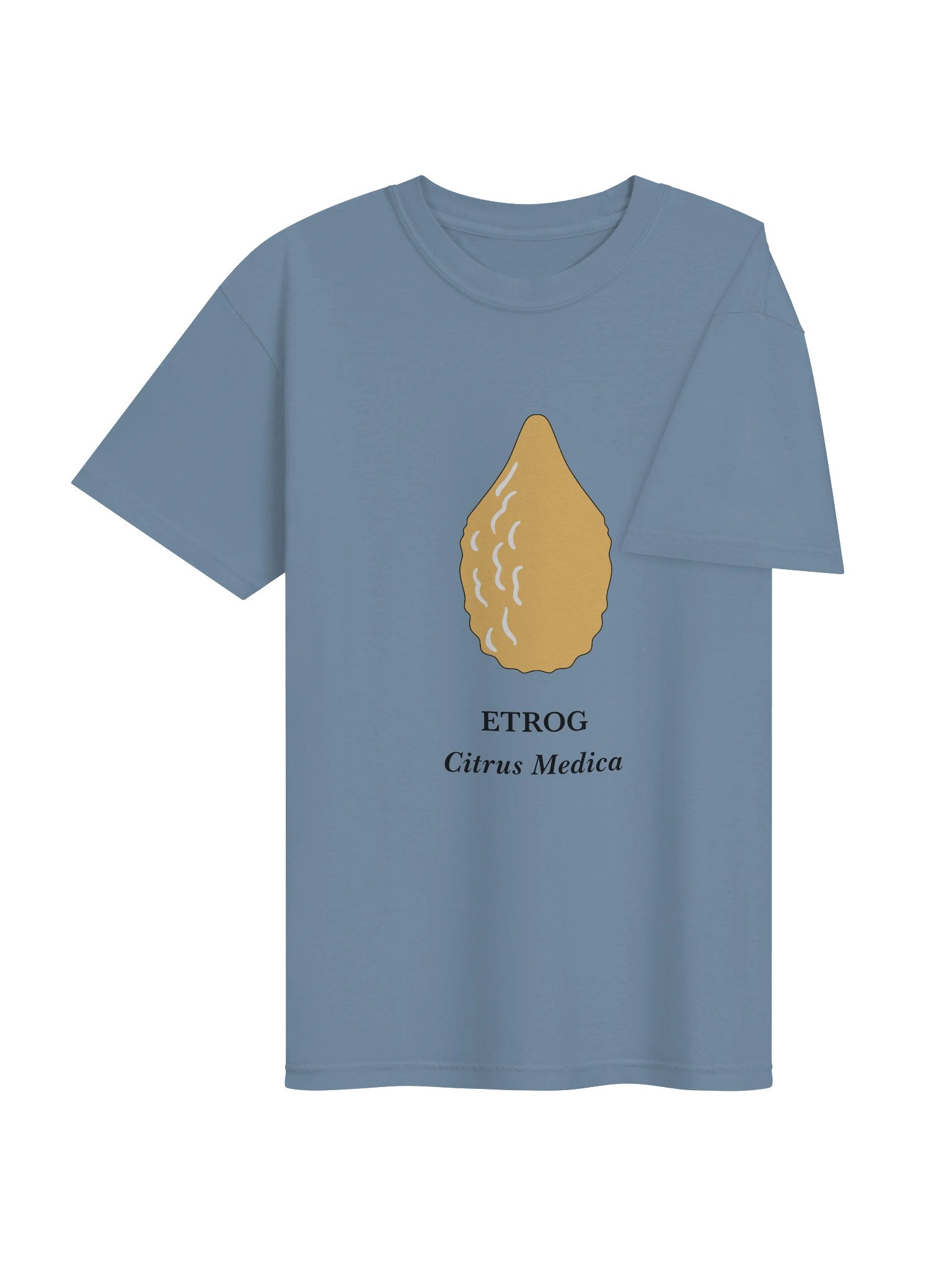 Etrog Tee product image (4)