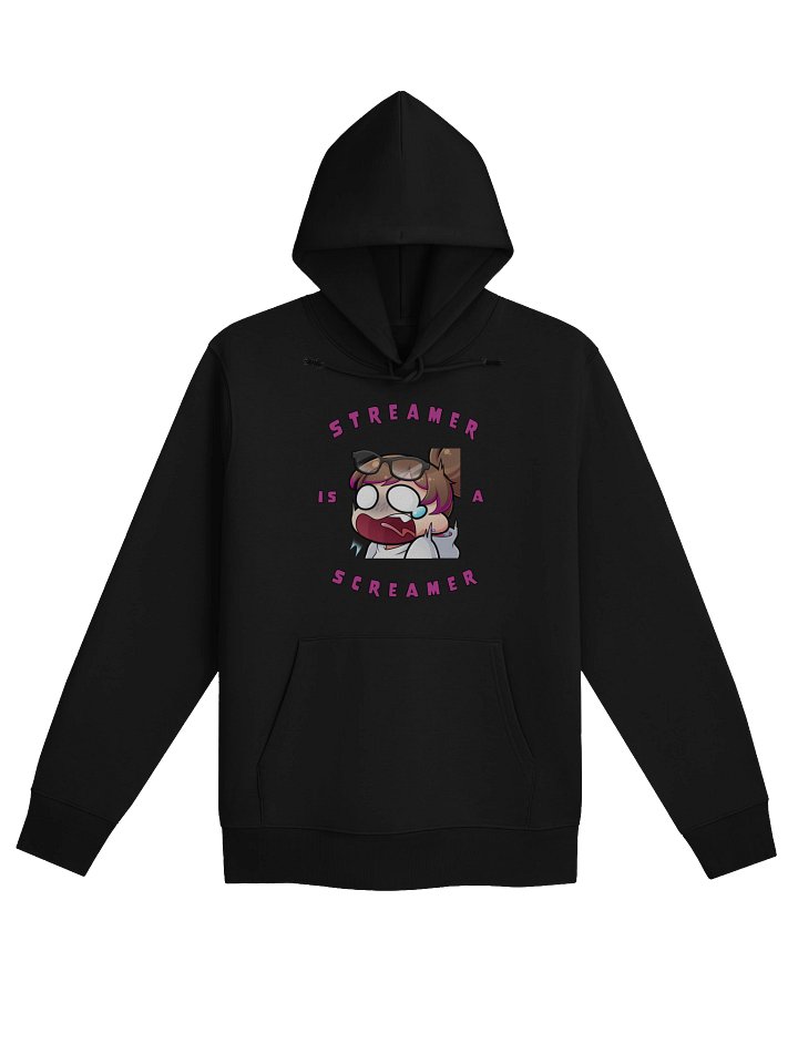 Streamer is a Screamer Hoodie product image (2)