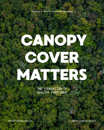 Most people notice when a tree is cut down. 🪓

What they don’t always see is everything that disappeared with it.

Canopy cov...
