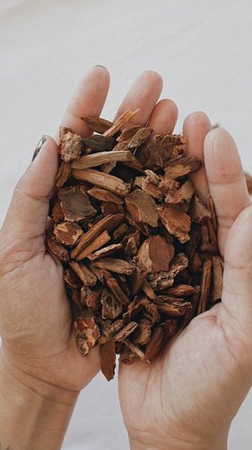 does anyone else wanna scoop a handful of orchid bark into their mouth when they get that first whiff when you open a bag or ...