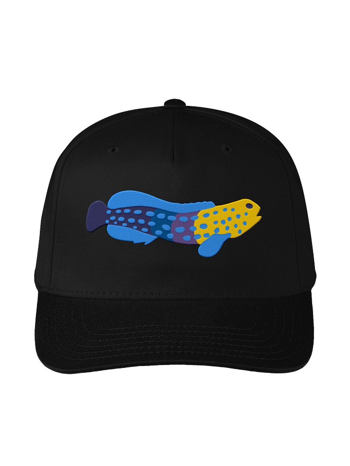 Blue-Spotted Jawfish Mid-Profile Baseball Cap (Embroidered) for Reef and Marine Aquarium Lovers product image (2)