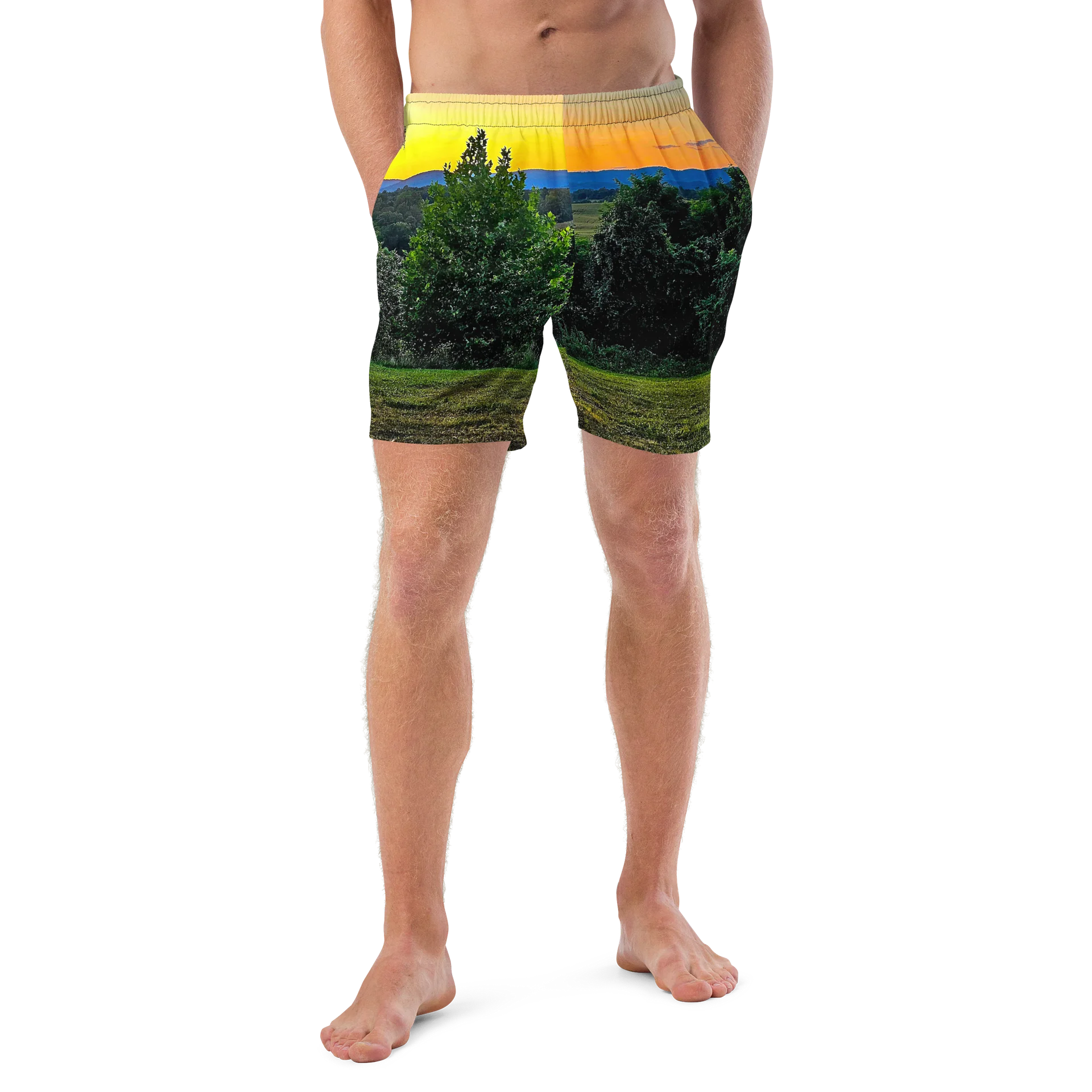Appalachia Sunset Swim Trunks product image (4)