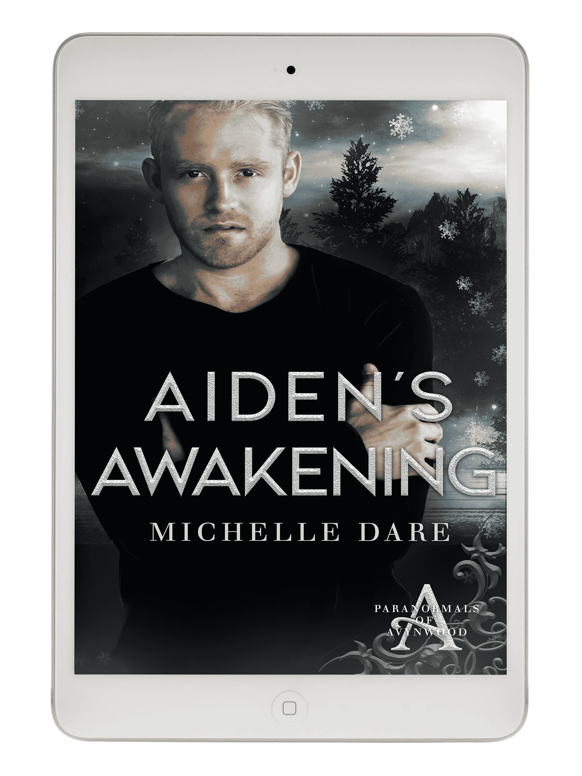 Aiden’s Awakening product image (1)