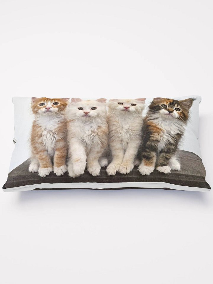 Ada's Kittens - Pillow product image (1)