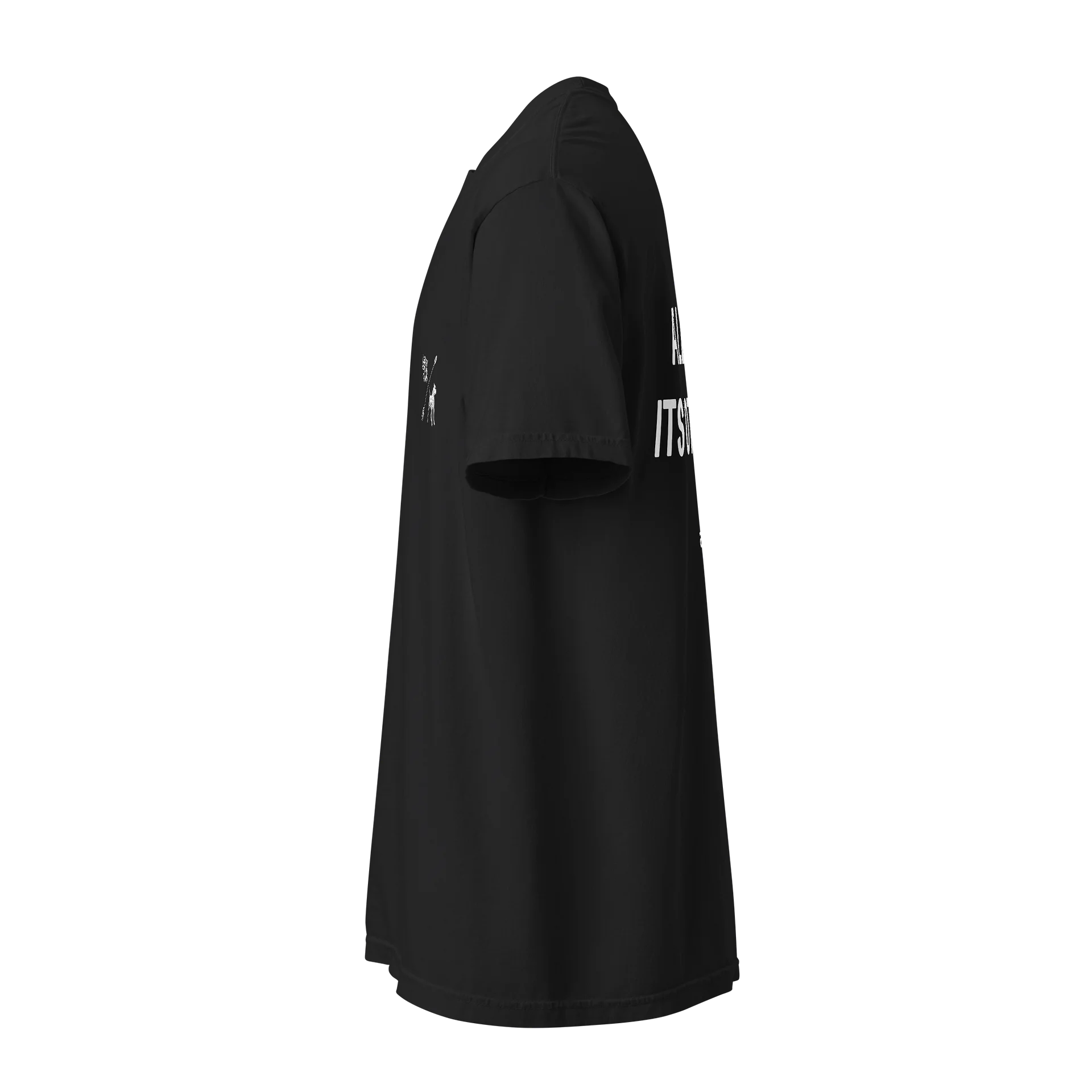 Overized Heavyweight Cotton T product image (13)