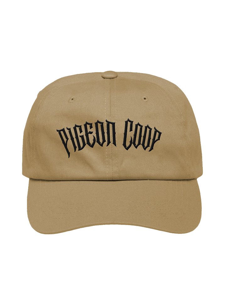 Grunge Pigeon Coop Hat product image (1)
