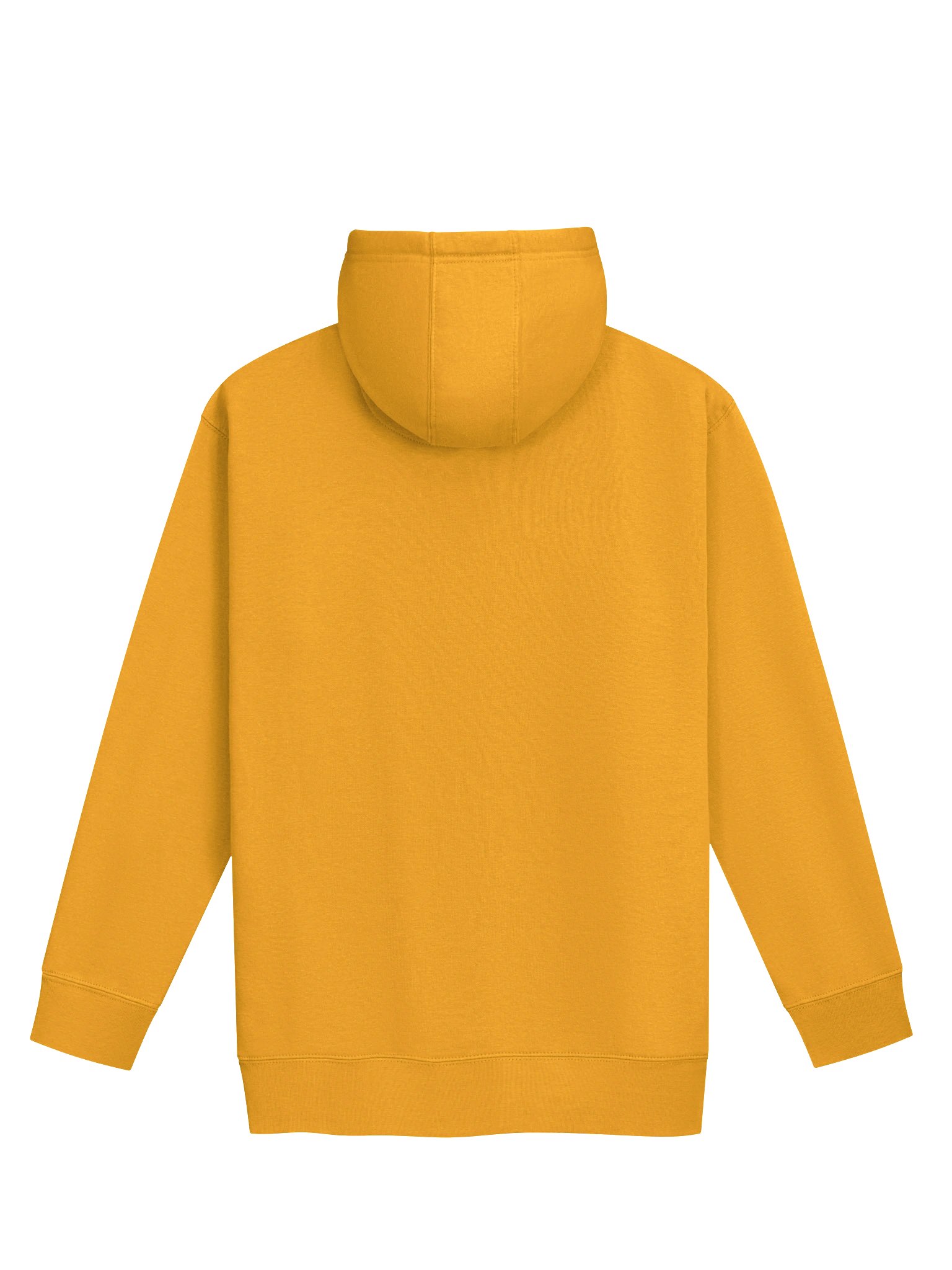 Rtep Hoodie product image (2)
