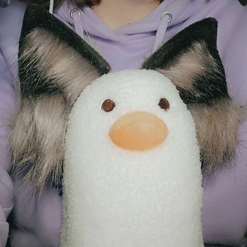 Please enjoy this photo of my nanaduck with ears. I have decided to start putting my ears onto random plushies I own
.
.
.
.
...