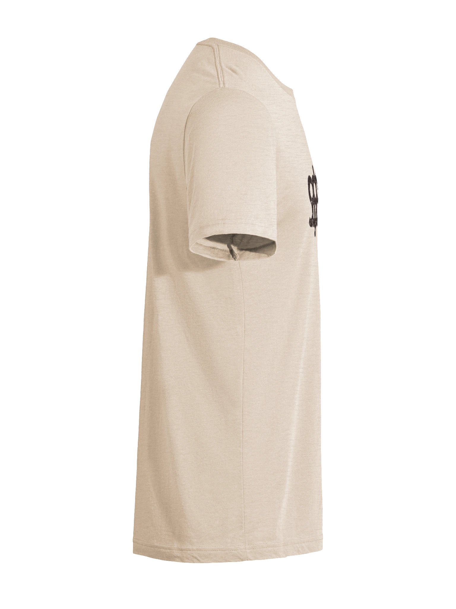 Indecipherable Triblend Tee product image (12)