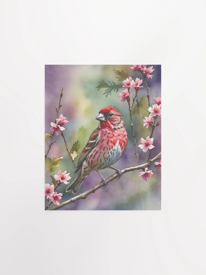 Purple Finch Matte Poster product image (2)