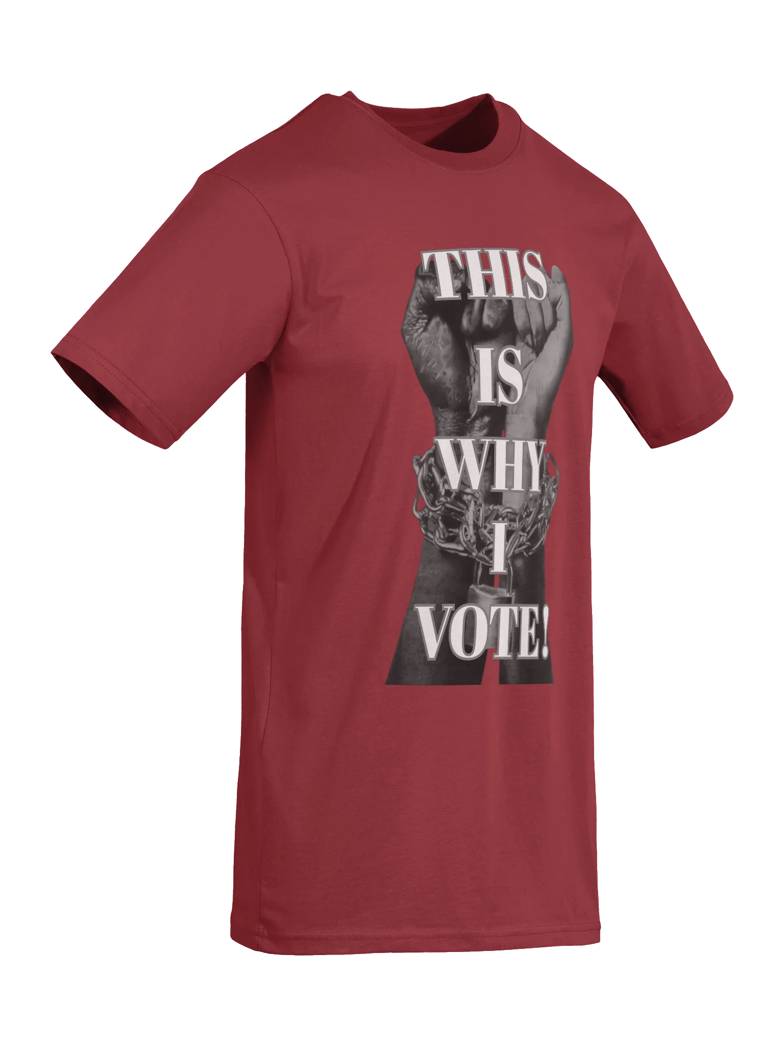 THIS IS WHY I VOTE product image (22)