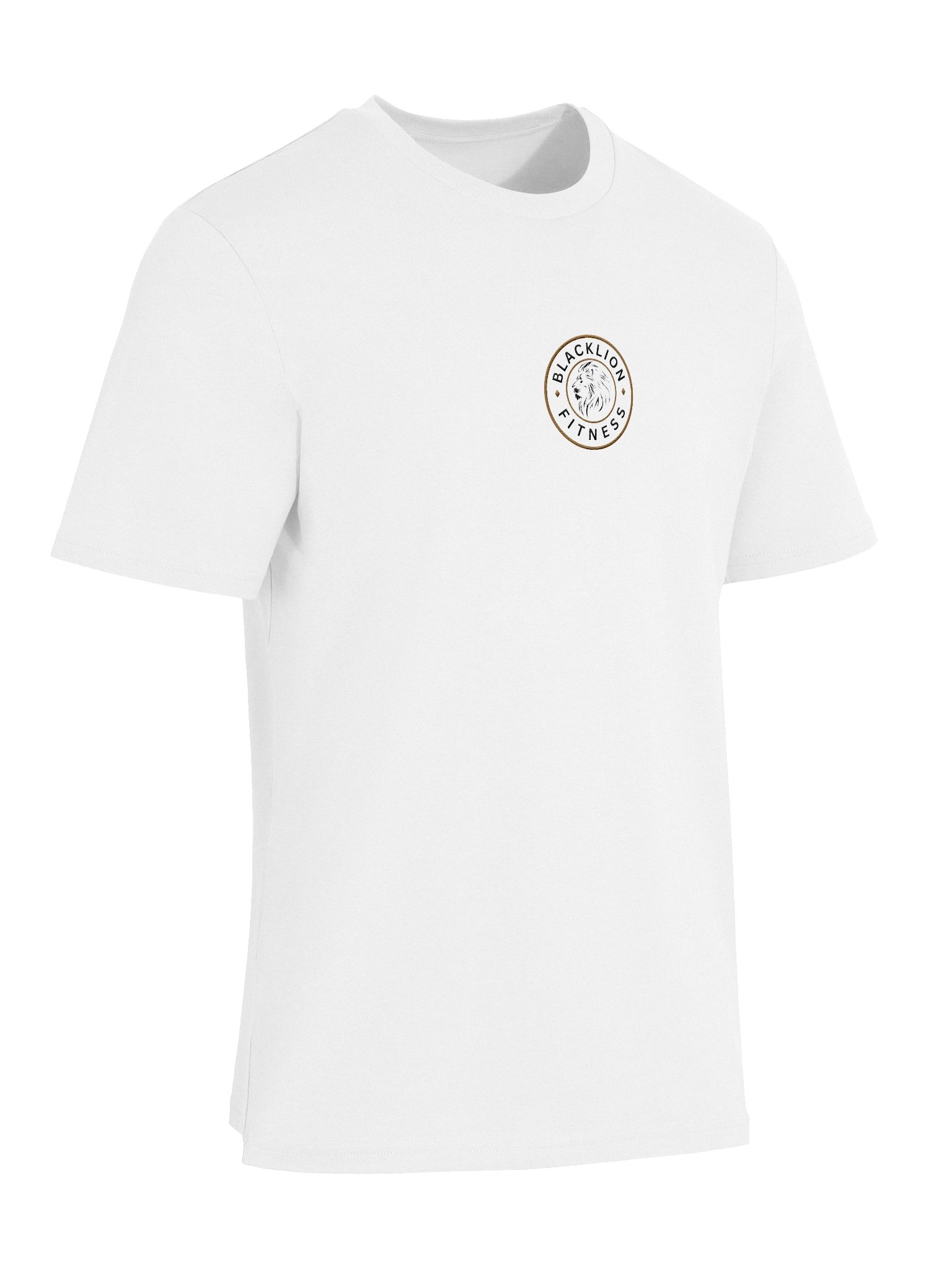 BLACK LION FITNESS EMBROIDERY TEE product image (23)