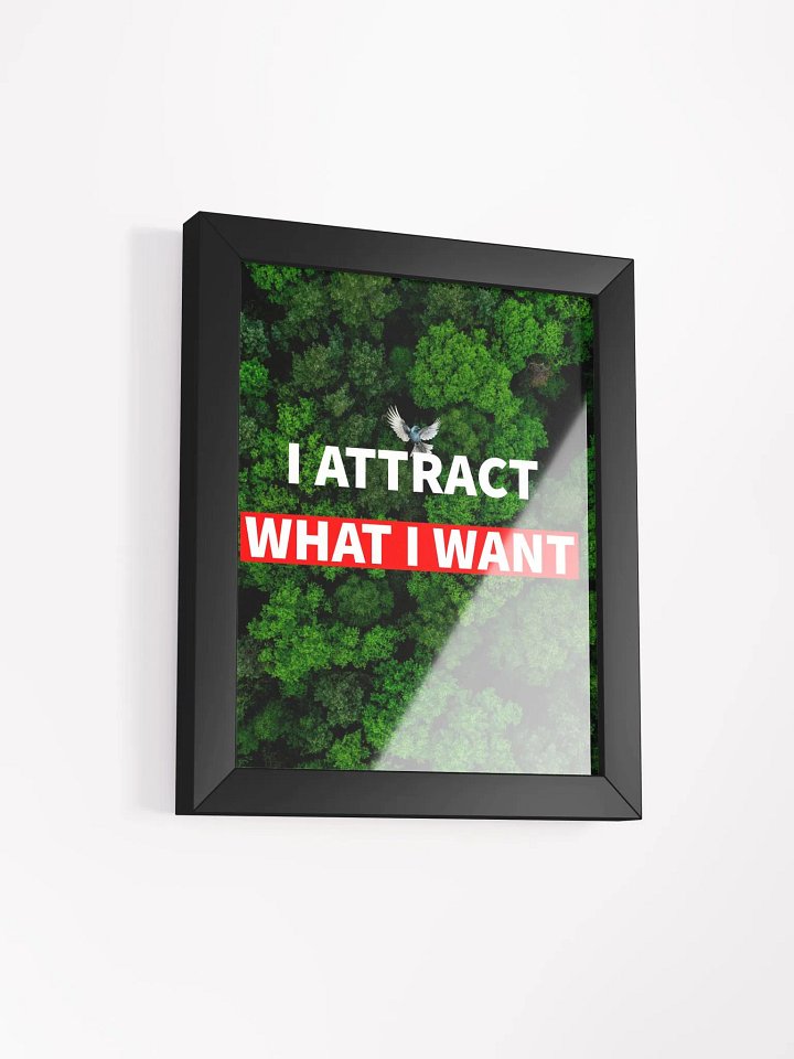 i attract what i want product image (8)