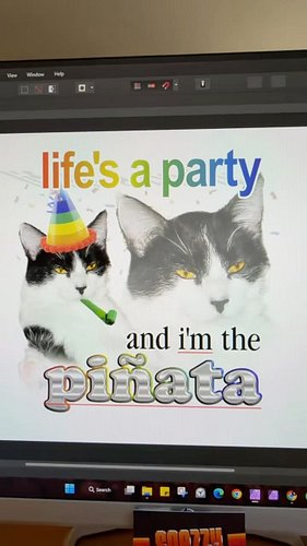 life changing information for my future parties

my Etsy shop is Iinked in my bio!!

#catmemes #printify #printondemand #birt...