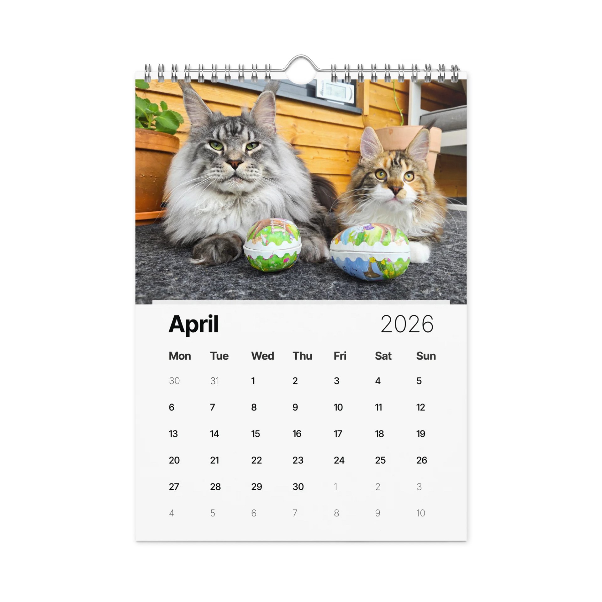2026 Calendar - Maine Coon Adventures + Kittens product image (4)
