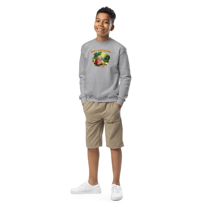 Not Oatmeal Youth Sweatshirt product image (7)