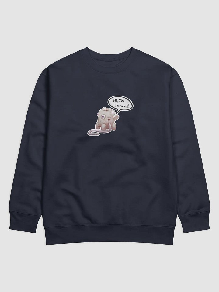 Tummy Premium Sweatshirt product image (6)