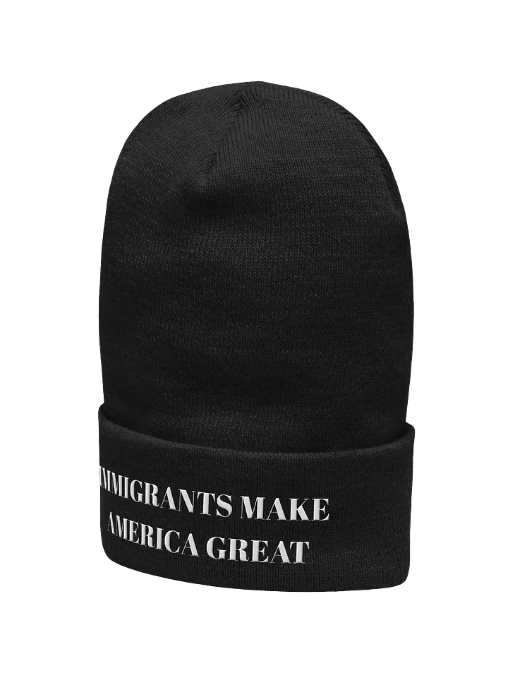 IMMIGRANTS MAKE AMERICA GREAT BEANIE product image (2)