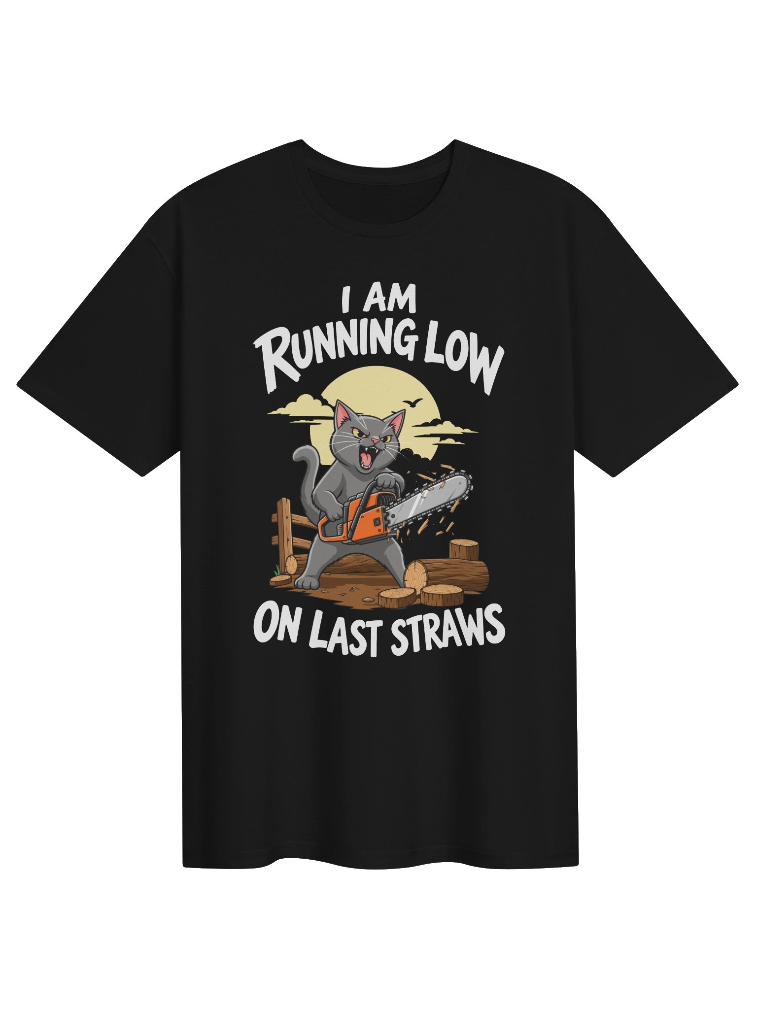 I Am Running Low On Last Straw Tee product image (42)