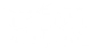 CandiiVulpix