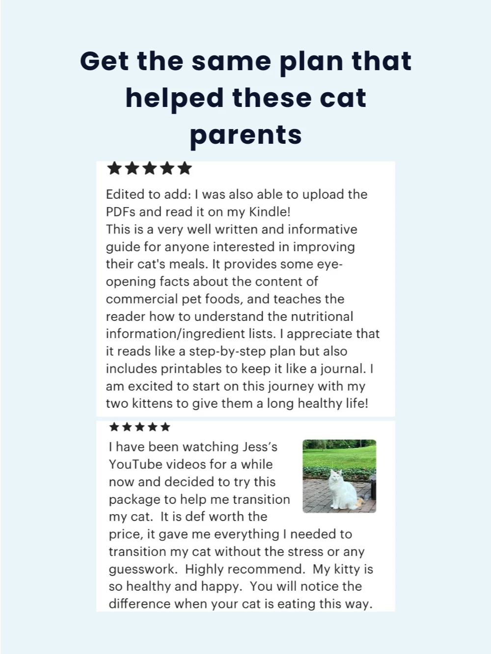 Food transition pdf printables - switch your cat from kibble to wet food ebook product image (8)
