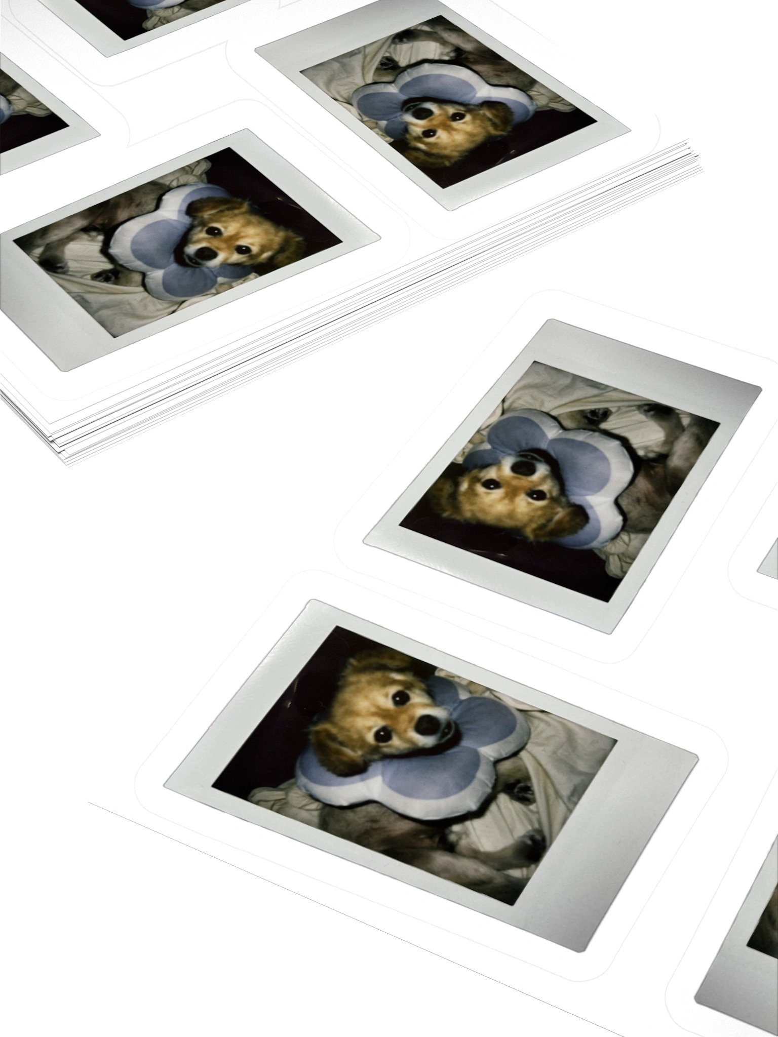 For your friends product image (10)
