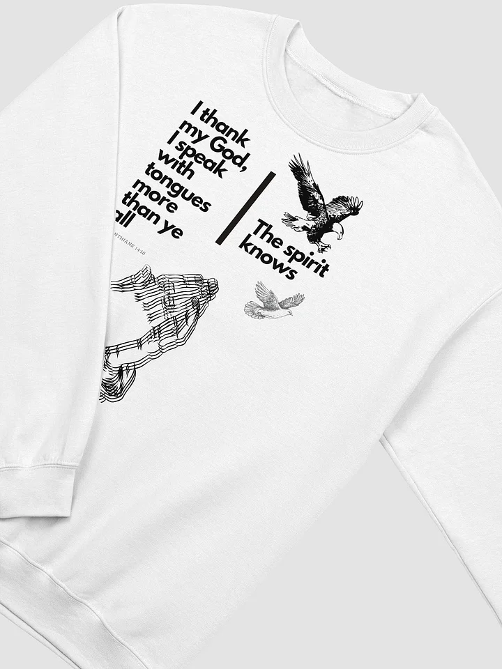 Speaking in tongues Sweatshirt Crew neck Unisex product image (2)