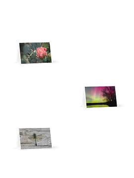 Nature Blank Greeting Cards 3 Pack