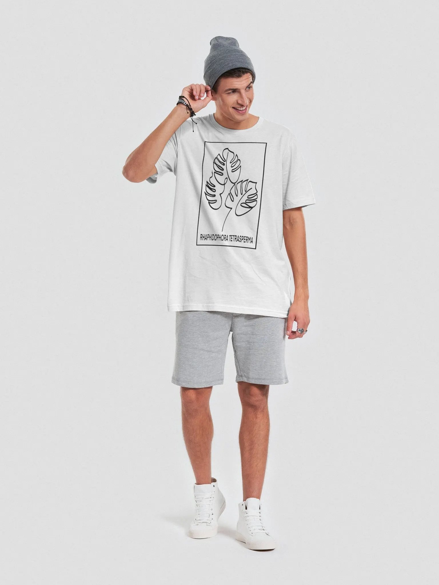 Mini monstera product image (4)