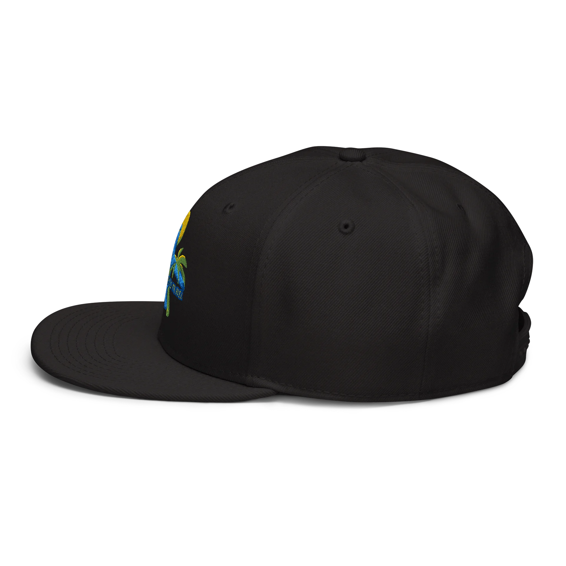 NPLT Classic Cap product image (4)