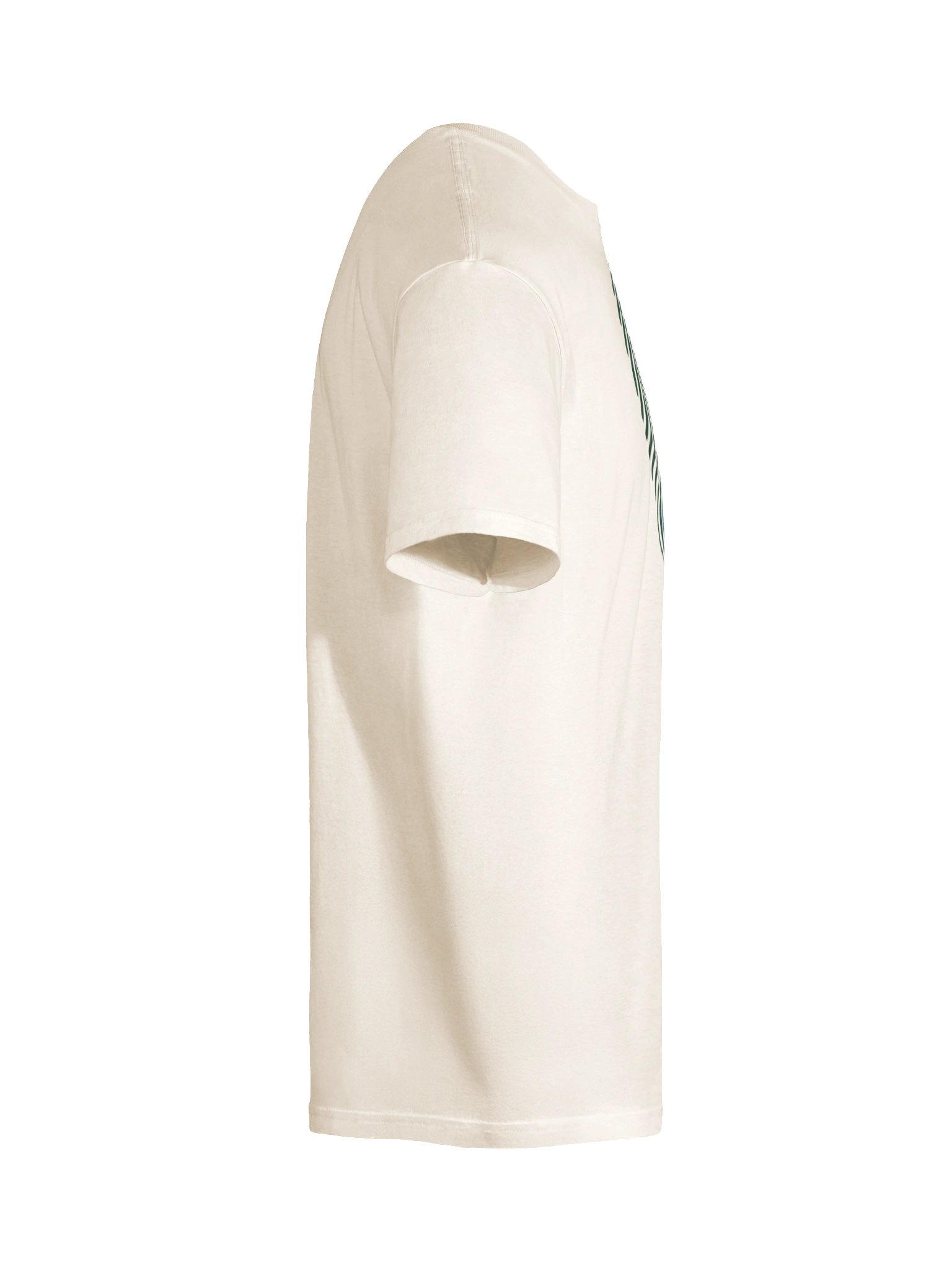Find Your Flow T-Shirt product image (10)
