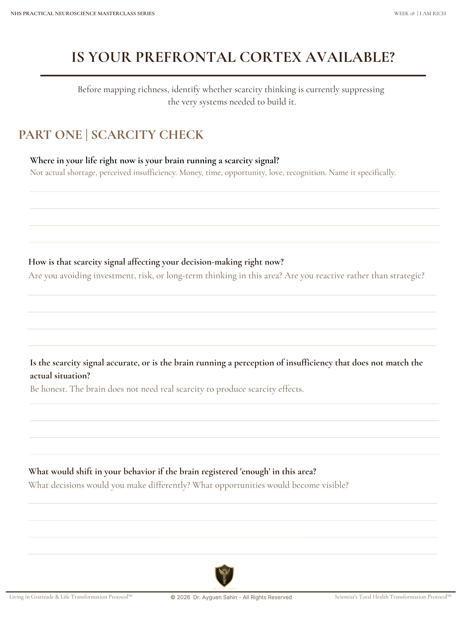 THE RICHNESS AUDIT product image (2)
